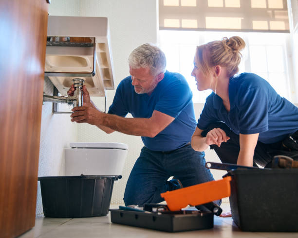 Best Drain Cleaning Services  in Toulon, IL
